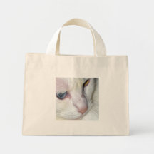 Gato vigilante bolsas