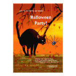 Gato y araña de Halloween Comunicados Personalizados