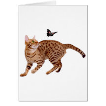 Gato y mariposa de Ocicat Felicitaciones
