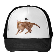 Gato y mariposa de Ocicat Gorras De Camionero