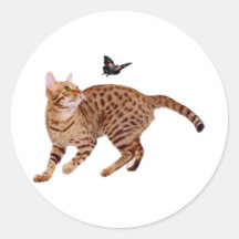 Gato y mariposa de Ocicat Pegatina Redonda