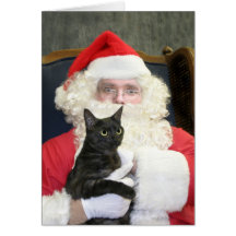 Gato y Papá Noel Felicitacion