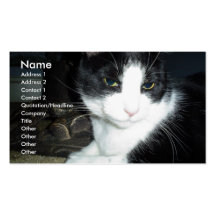 Gato y perro plantilla de tarjeta de negocio