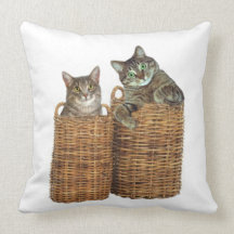 Gatos de la cesta almohada