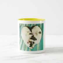 Gatos de los amores taza de café