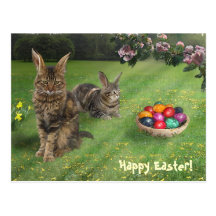 Gatos de Pascua; -) Postales