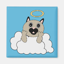Gatos del ángel en el imán de la nube