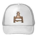 Gatos del gatito · Gato de Tabby en la cerca Gorros Bordados