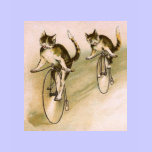 Gatos del vintage en las bicis camisetas