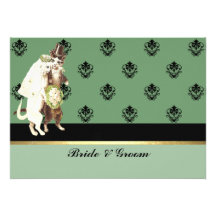 Gatos elegantes del verde del damasco que casan la