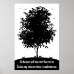 GATOS EN CIELO POSTER