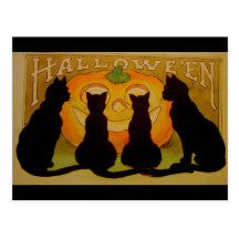 Gatos negros y Jack O'Lantern de Halloween del vin Postales