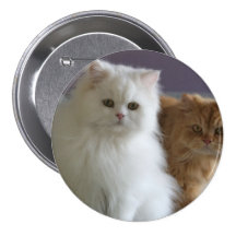 GATOS PERSAS PINS