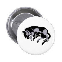 gatos pin