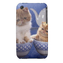 Gatos que se reúnen Case-Mate iPhone 3 carcasa