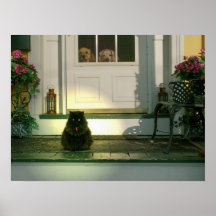 ¡Gatos Ruls, Drool de los perros! Posters