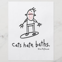 gatos tarjetón
