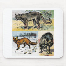 Gatos: tres alfombrilla de ratón