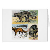 Gatos: tres tarjetón