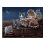 Gatos y rata con la postal de las fresas