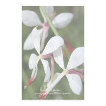 Gaura Papelería De Diseño