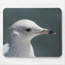 Gaviota de Bugsy Tapete De Raton