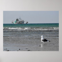 Gaviota de Puerto Peasco con los barcos del camaró Poster