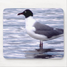 Gaviota de risa alfombrilla de ratón