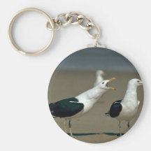 Gaviota del quelpo llavero
