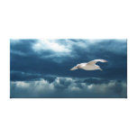 Gaviota en una lona estirada tormenta lienzo envuelto para galerías