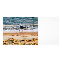 Gaviota en Virginia Beach en el amanecer Tarjeta Fotografica Personalizada