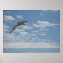 Gaviota en vuelo en el parque NJ de Asbury Posters
