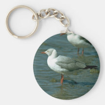 Gaviota Greyheaded Llaveros Personalizados