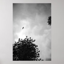 Gaviota Impresiones