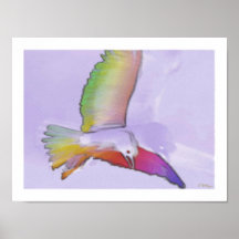gaviota impresiones