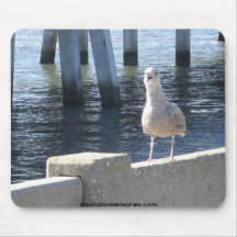 Gaviota Mousepad Tapetes De Ratón