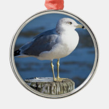 Gaviota Ornamentos De Navidad