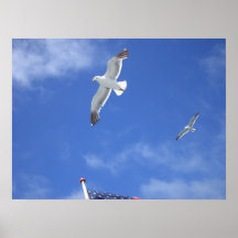 Gaviota Impresiones