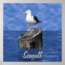 GAVIOTA POSTERS