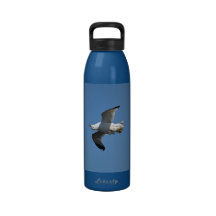 Gaviota que vuela fotografía divertida al revés de botella de agua reutilizable