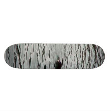 Gaviota y sello en agua patinetas personalizadas