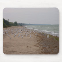 Gaviotas Alfombrillas De Ratón