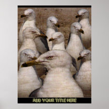 Gaviotas codiciosas de Scavaging - poster/impresió