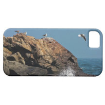 Gaviotas en el caso del iPhone de las rocas iPhone 5 Case-Mate Protector