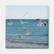 Gaviotas Imán De Frigorifico