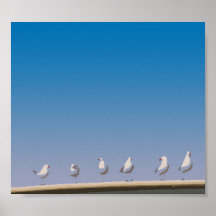 Gaviotas Impresiones