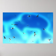 Gaviotas Posters