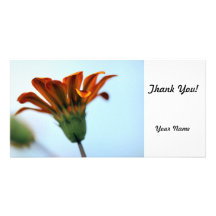 Gazania Tarjeta Con Foto Personalizada