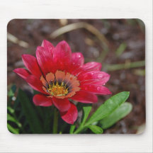 gazanias tapete de ratón