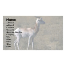 Gazelle del Dama Tarjeta De Visita